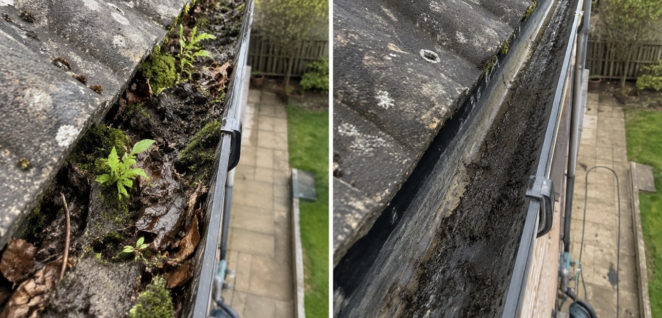 Gutter before and after clearing of moss and debris